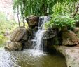 Jardin Des Plantes De Nantes Charmant Japanese Garden On the island Of Versailles – Nantes