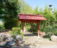 Jardin Des Plantes De Nantes Élégant Japanese Garden On the island Of Versailles – Nantes