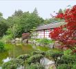 Jardin Des Plantes De Nantes Élégant Japanese Garden On the island Of Versailles – Nantes