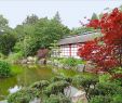 Jardin Des Plantes De Nantes Élégant Japanese Garden On the island Of Versailles – Nantes