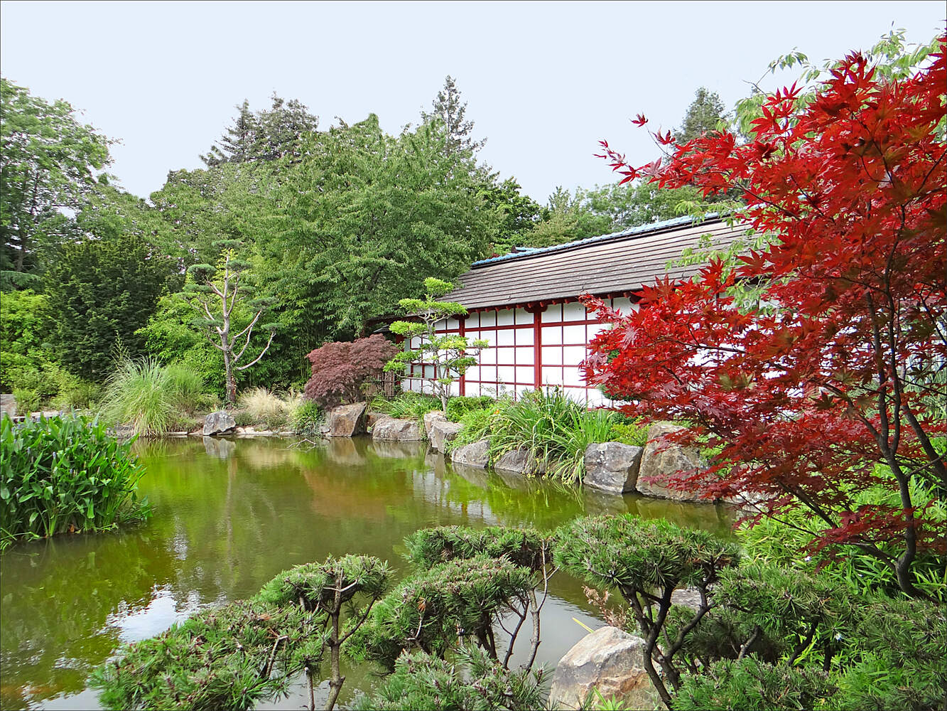 Jardin Des Plantes De Nantes Élégant Japanese Garden On the island Of Versailles – Nantes