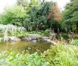 Jardin Des Plantes De Nantes Élégant Japanese Garden On the island Of Versailles – Nantes