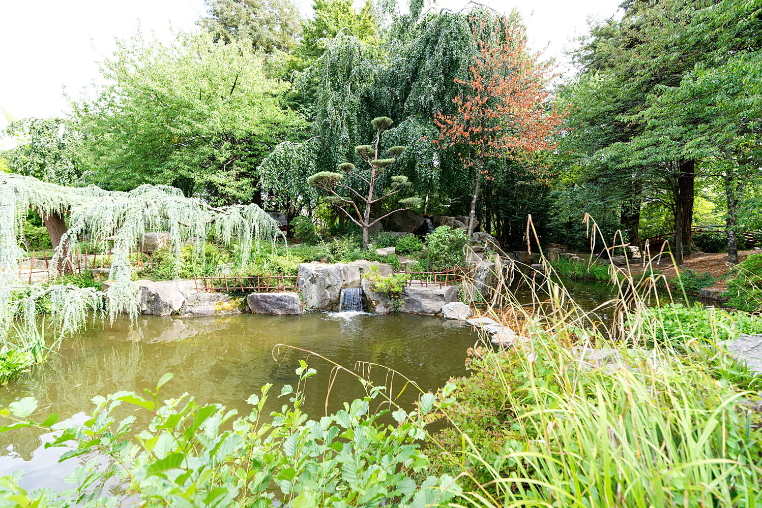 Jardin Des Plantes De Nantes Élégant Japanese Garden On the island Of Versailles – Nantes