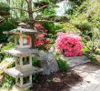 Jardin Des Plantes De Nantes Frais Japanese Garden On the island Of Versailles – Nantes