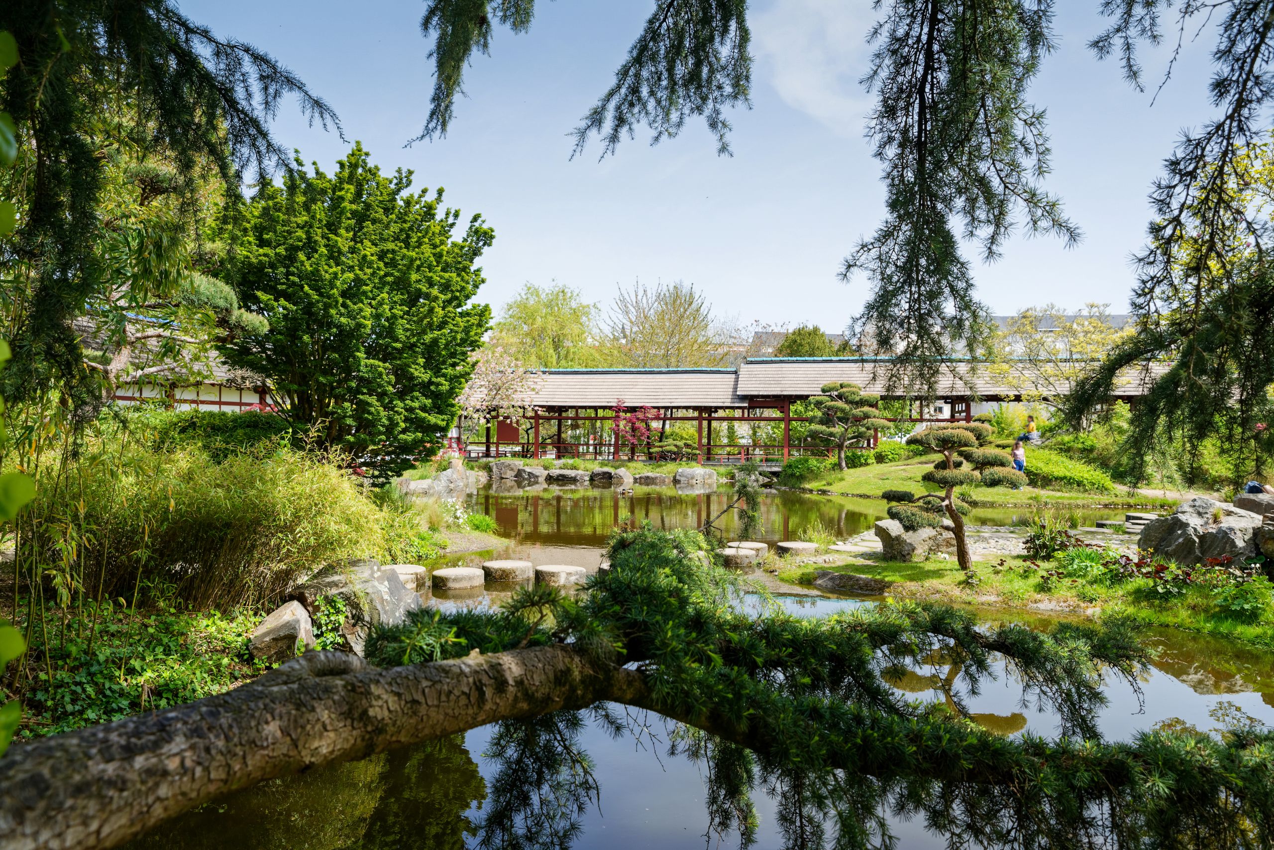 Jardin Des Plantes De Nantes Frais Japanese Garden On the island Of Versailles – Nantes
