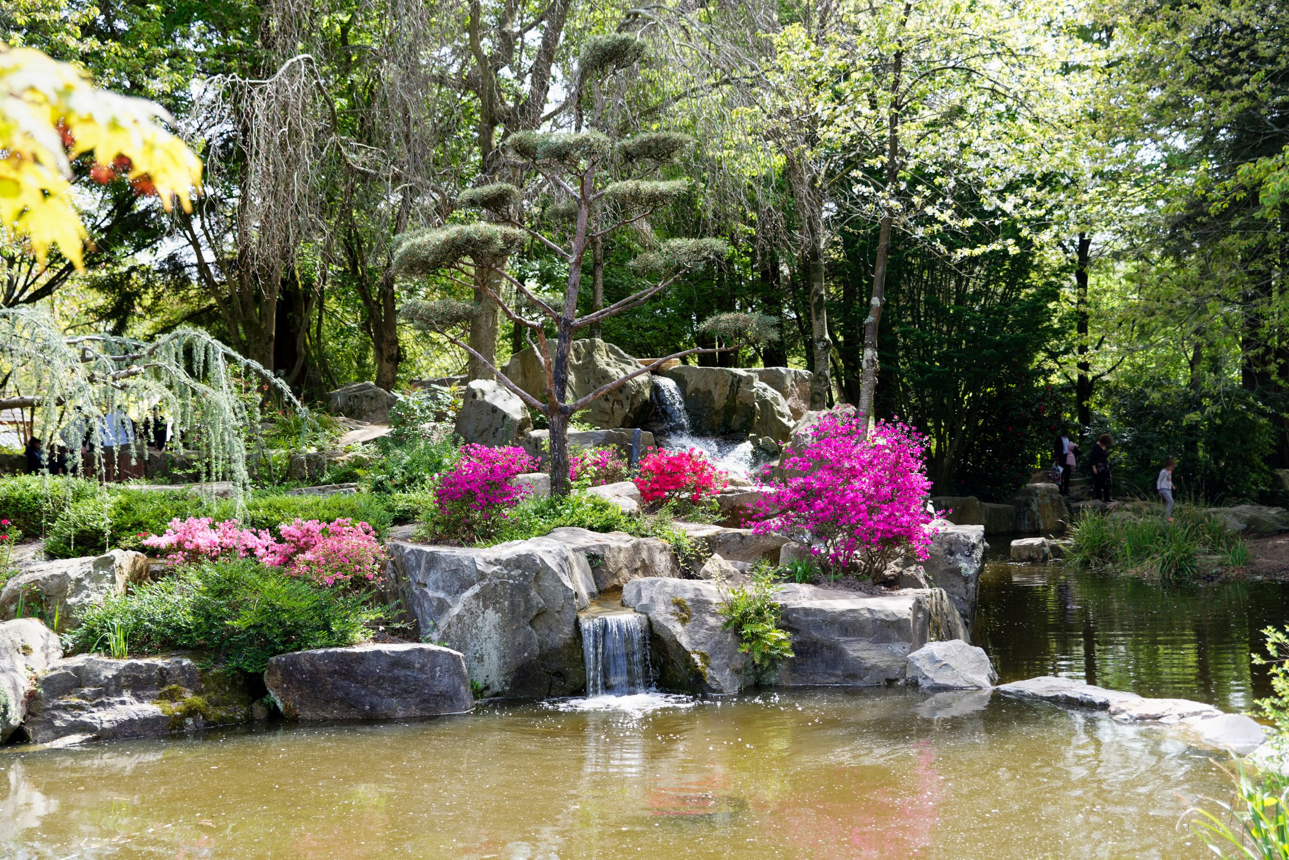 Jardin Des Plantes De Nantes Nouveau Japanese Garden On the island Of Versailles – Nantes