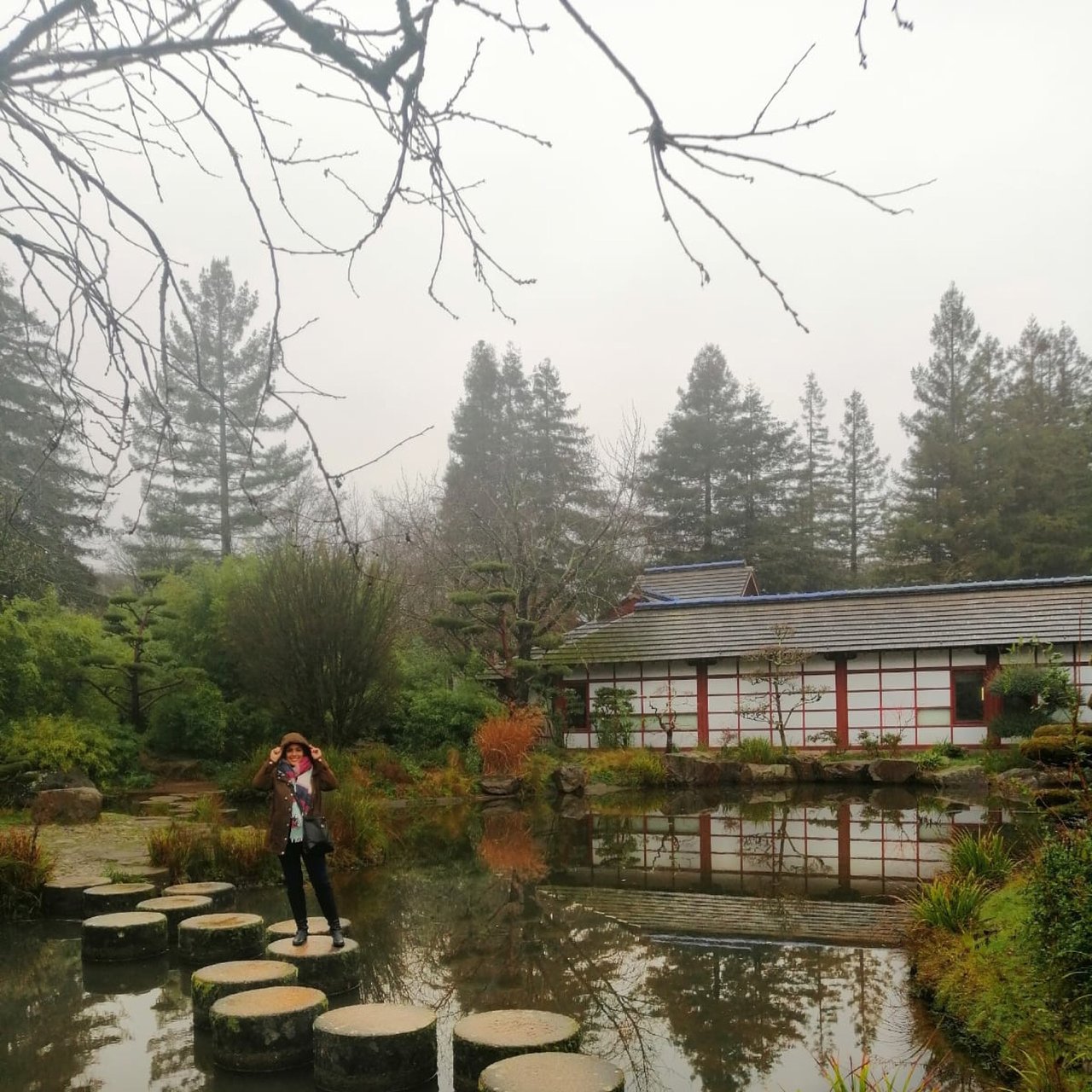 Jardin Des Plantes De Nantes Nouveau Jardin Ile De Versailles Nantes All You Need to Know