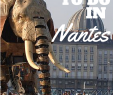 Jardin Des Plantes Lille Génial 6 Awesome Things to Do In Nantes France