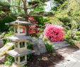 Jardin Des Plantes Nantes Beau Japanese Garden On the island Of Versailles – Nantes