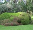 Jardin Des Plantes Nantes Charmant File Claude Ponti Au Jardin Des Plantes Le Voyage   Nantes