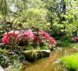 Jardin Des Plantes Nantes Charmant Japanese Garden On the island Of Versailles – Nantes