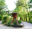 Jardin Des Plantes Nantes Charmant Japanese Garden On the island Of Versailles – Nantes