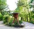 Jardin Des Plantes Nantes Charmant Japanese Garden On the island Of Versailles – Nantes