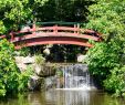 Jardin Des Plantes Nantes Charmant Japanese Garden On the island Of Versailles – Nantes