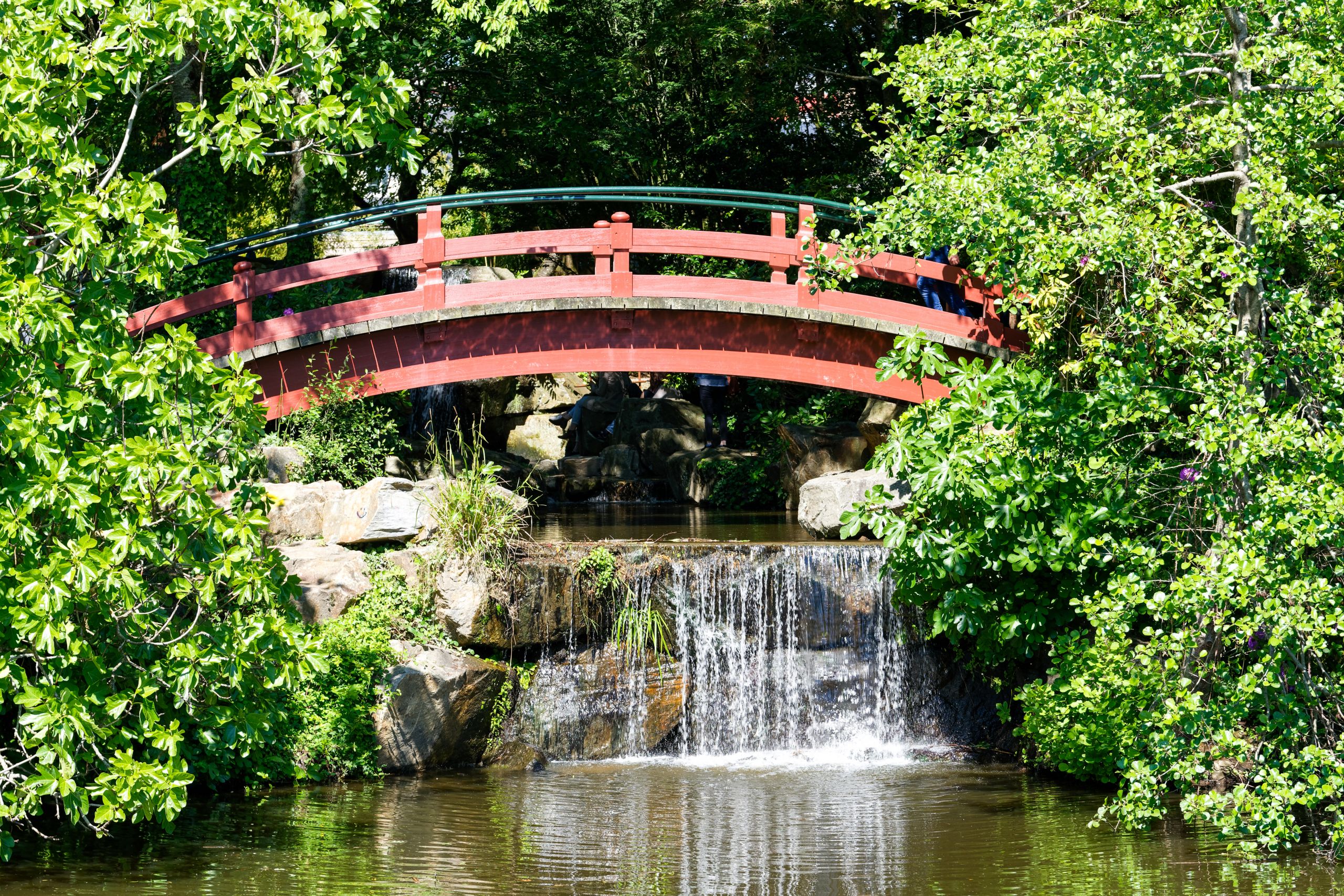 Jardin Des Plantes Nantes Charmant Japanese Garden On the island Of Versailles – Nantes