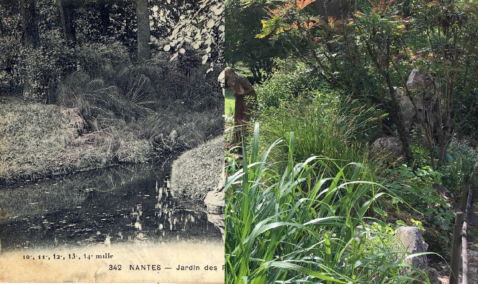Jardin Des Plantes Nantes Inspirant Nantes Recherche De Cartes Postales Geneanet