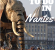 Jardin Des Plantes Nantes Nouveau 6 Awesome Things to Do In Nantes France