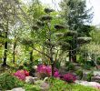 Jardin Des Plantes Nantes Unique Japanese Garden On the island Of Versailles – Nantes