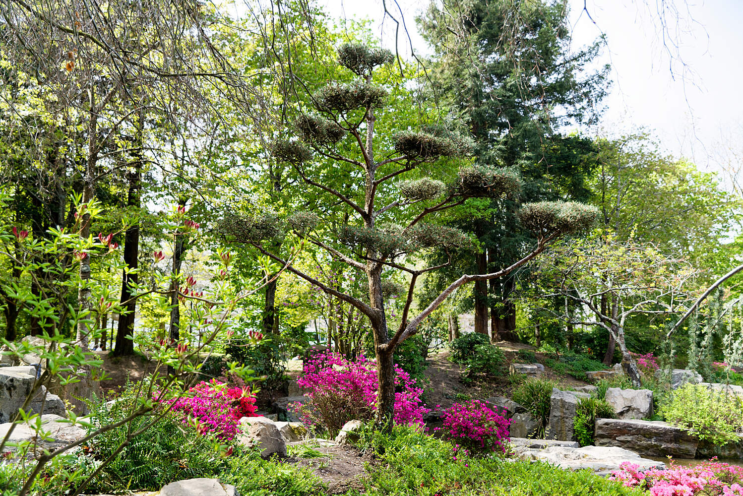 Jardin Des Plantes Nantes Unique Japanese Garden On the island Of Versailles – Nantes