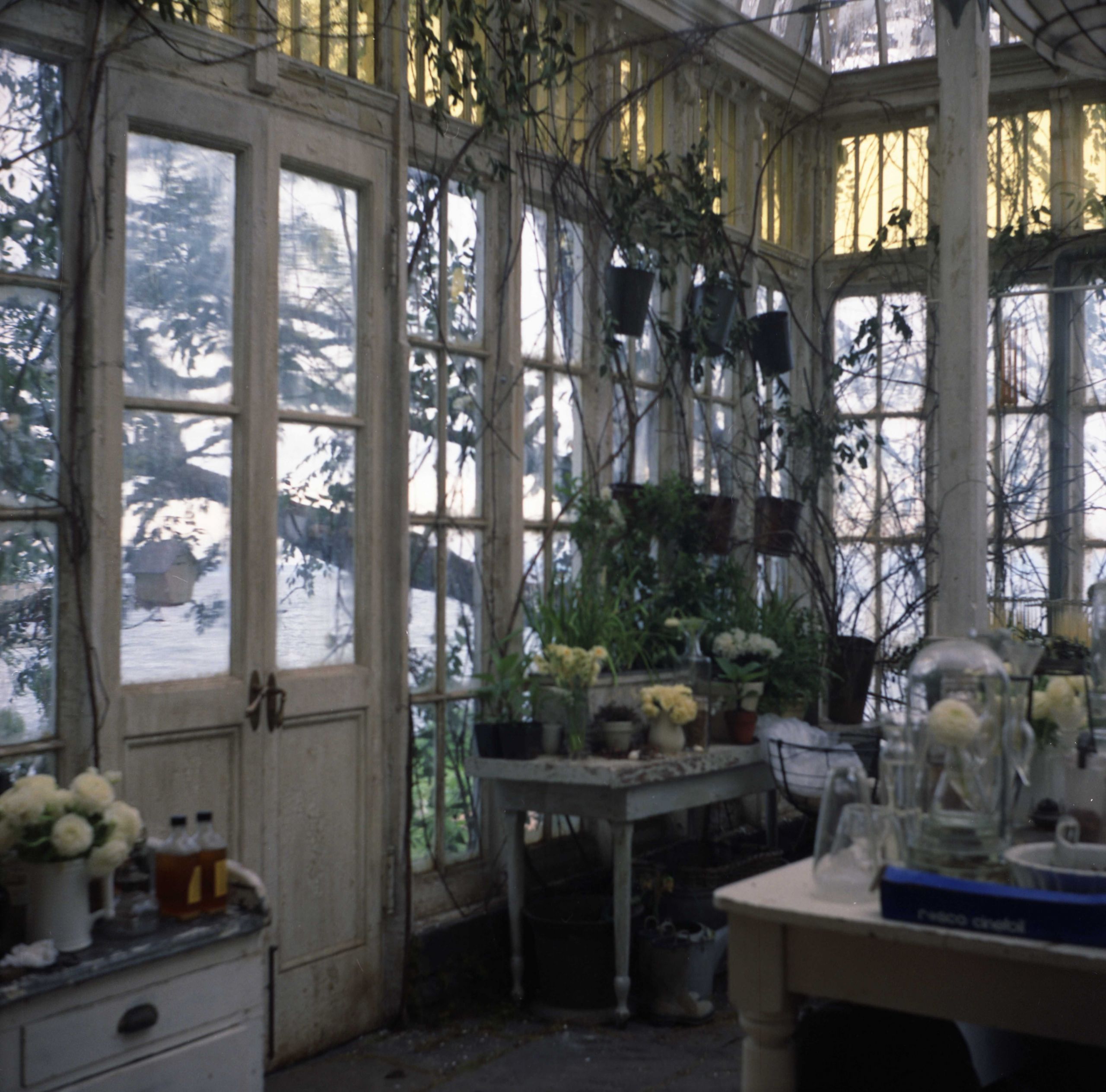 Jardin Des Plantes orleans Beau Practical Magic Set the Greenhouse that Every Witchy Girl