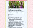 Jardin Des Plantes orléans Charmant 112 Meilleures Images Du Tableau Conseils Santé En 2020