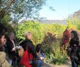 Jardin Des Plantes orleans Élégant Sevres Projets De