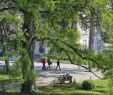 Jardin Des Plantes orleans Frais Inspiring Of Paris In the Springtime