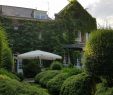 Jardin Des Plantes orleans Génial Chambres D Hotes La Maison Prices & B&b Reviews Rouen