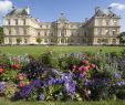 Jardin Des Plantes orleans Luxe Inspiring Of Paris In the Springtime