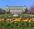 Jardin Des Plantes orleans Nouveau Paris In May Weather and events Guide