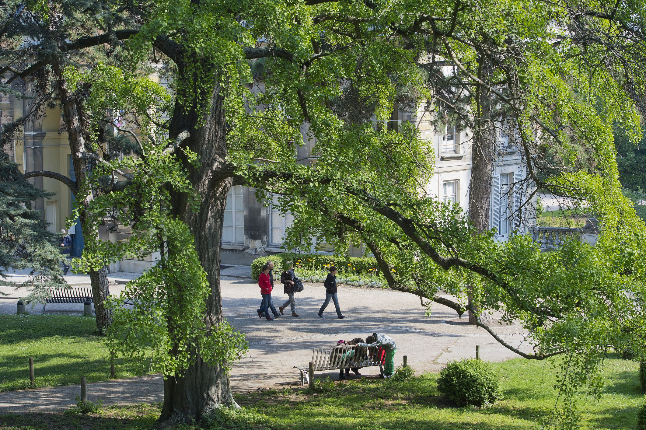 france paris 5th district jardin des plantes 5a941e16c d3cc7a