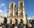 Jardin Des Plantes Paris Metro Génial Amanda England S Travel Journal