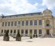 Jardin Des Plantes Paris Metro Génial Exploring Paris Bilbyandbear