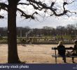 Jardin Des Plantes Paris Metro Inspirant Paris 6 Stock S & Paris 6 Stock Alamy