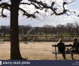 Jardin Des Plantes Paris Metro Inspirant Paris 6 Stock S & Paris 6 Stock Alamy