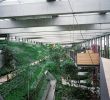 Jardin Des Plantes Paris Metro Unique Barkow Leibinger Architecture