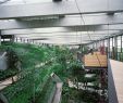 Jardin Des Plantes Paris Metro Unique Barkow Leibinger Architecture