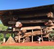 Jardin Des souvenirs Élégant La Aripuca Puerto Iguazu 2020 All You Need to Know