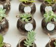 Jardin Des souvenirs Génial 25 Diy Wedding Favors for Any Bud