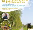Jardin Des souvenirs Nouveau Rouvroy