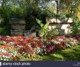 Jardin Des Vestiges Marseille Beau Auguste Henri Stock S & Auguste Henri Stock Alamy