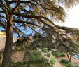 Jardin Des Vestiges Marseille Génial Le Jardin De Mazan $163 $Ì¶1Ì¶7Ì¶3Ì¶ Prices & B&b Reviews