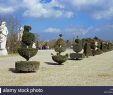 Jardin Du Chateau De Versailles Beau topiary In the Gardens Of Chateau De Versailles Near Paris