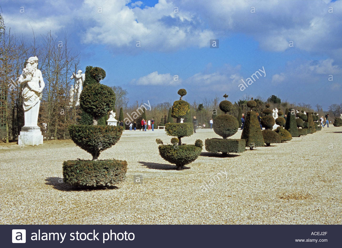 topiary in the gardens of chateau de versailles near paris france ACEJ2F