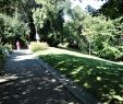 Jardin Du Kohistan Best Of Jardin Samuel De Champlain Paris 2020 All You Need to