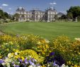 Jardin Du Kohistan Luxe Visitor S Guide to the Luxembourg Gardens In Paris