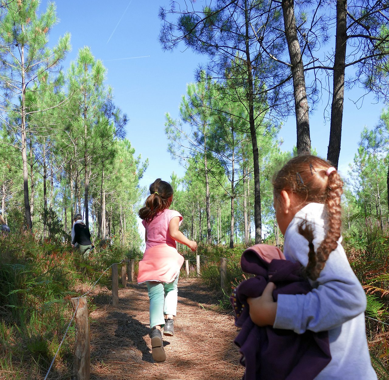 Jardin Du Lac Trizay Génial Mysterra Montendre 2020 All You Need to Know before You