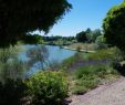 Jardin Du Lac Trizay Inspirant Le Parc Floral "les Jardins De Postelle" Abbaye De Trizay