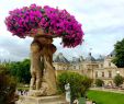 Jardin Du Luxembourg Paris Charmant Reserva Jardines De Luxemburgo Par­s En Tripadvisor