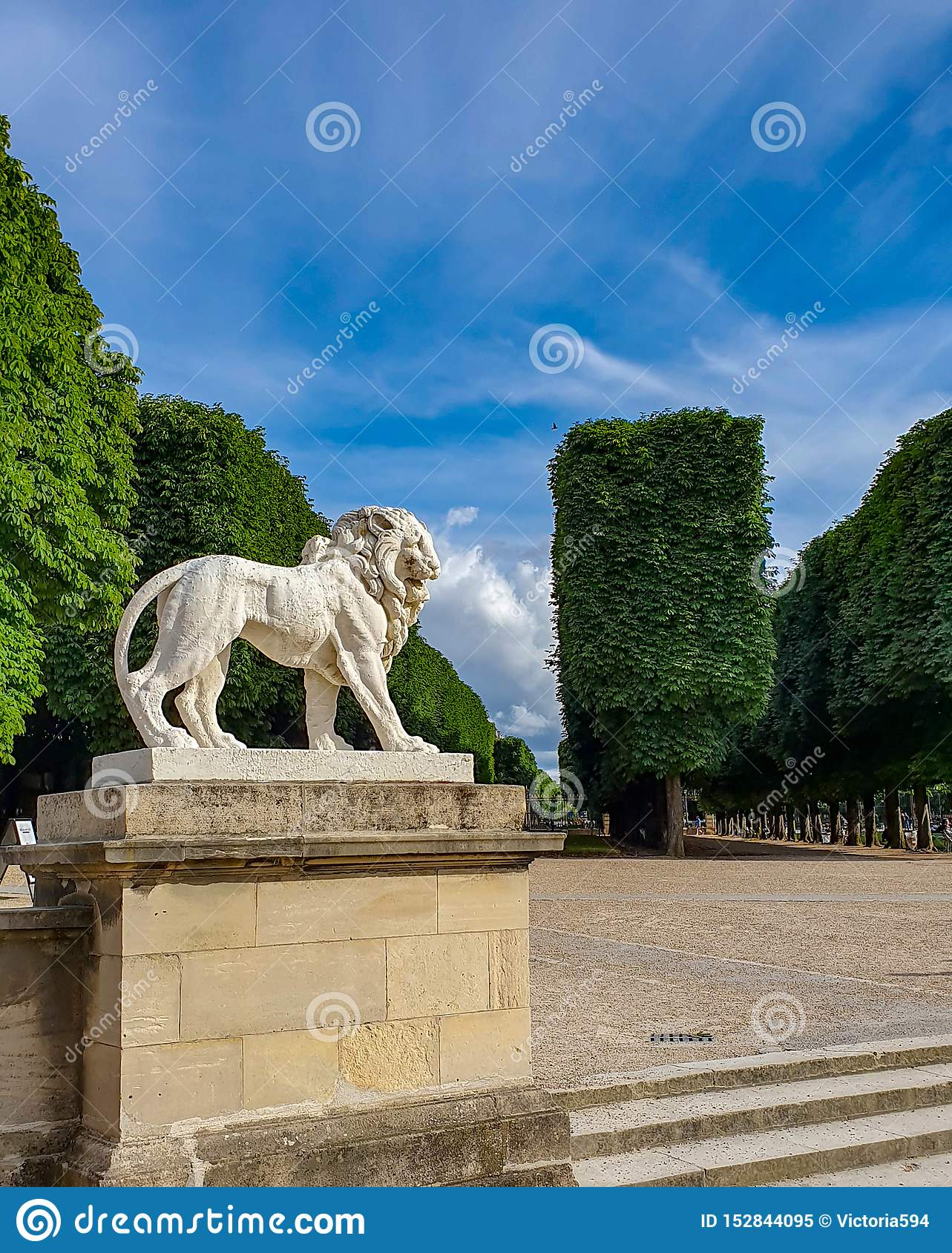 paris france june statue lion jardin du luxembourg gardens white
